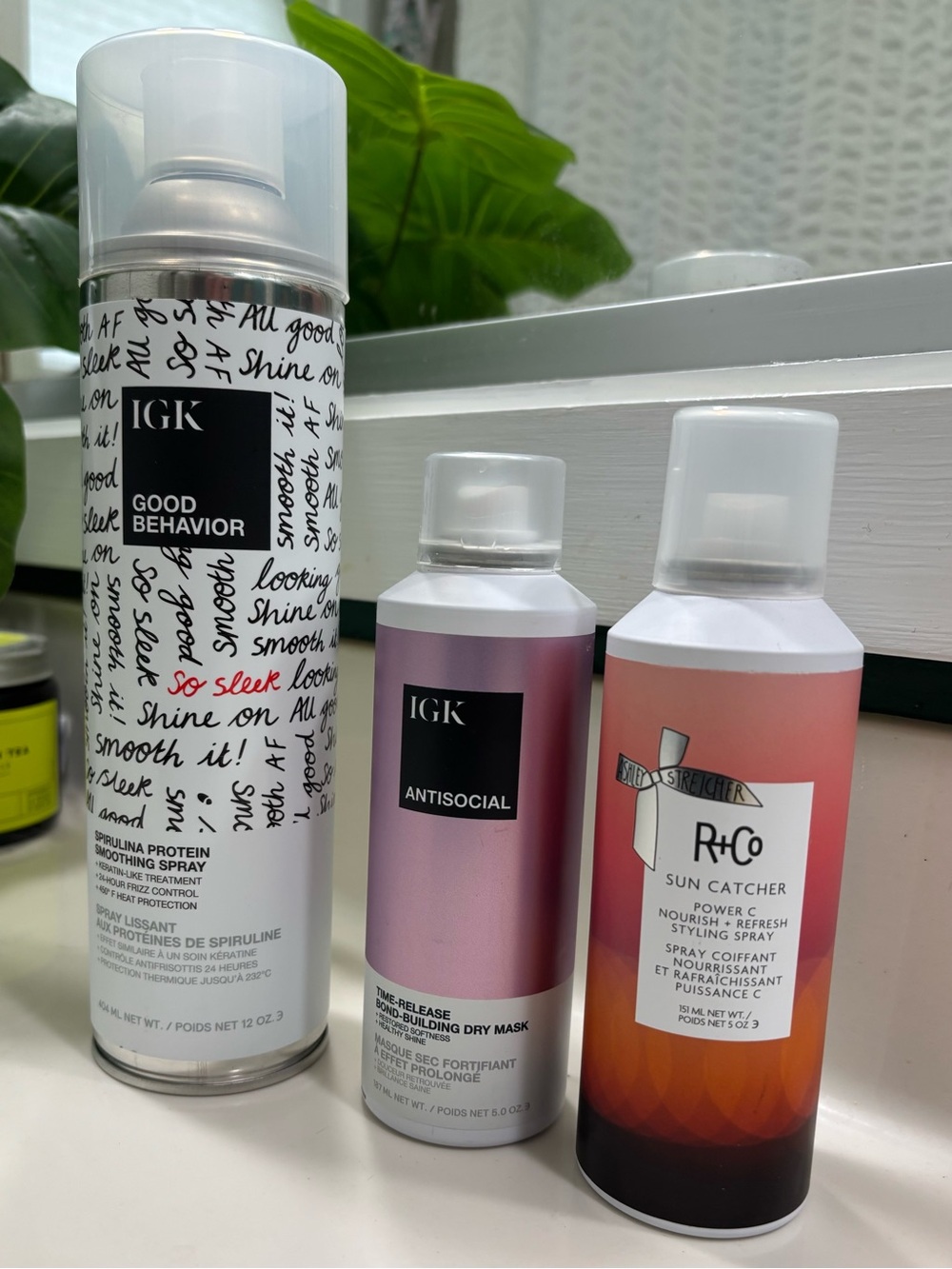 IGK GOOD BEHAVIOR + ANTISOCIAL + R+CO SUN CATCHER